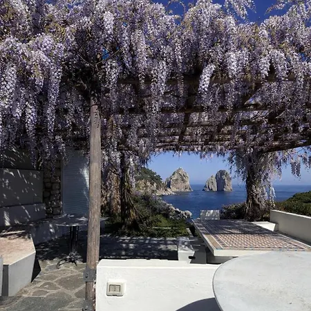 فيلة Azzurra